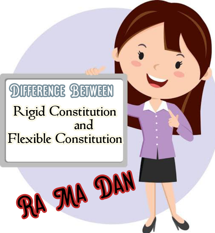 disadvantages of rigid constitution