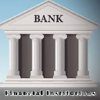 Traditional Financial Institutions: Definition, Functions, Pros & Cons