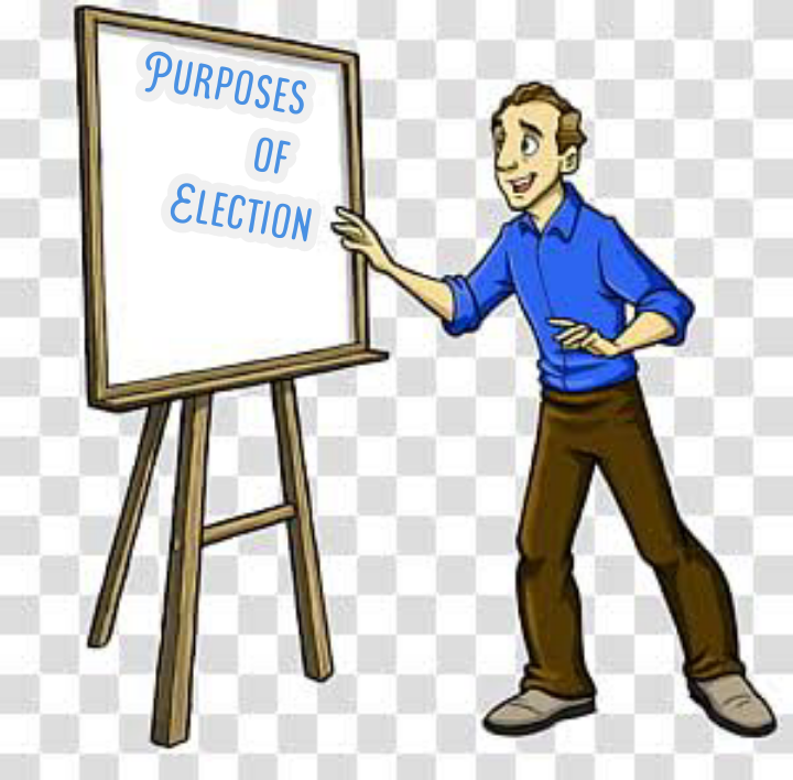 purpose-of-election-electoral-systems-and-processes-in-nigeria-studyhq