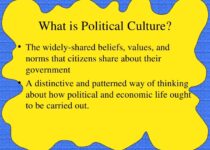 Political Culture – Definition, Types & Examples