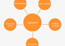 Types of Capitalism | Examples of a Capitalist Economy