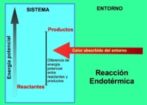 Differences Between Endothermic and Exothermic reaction